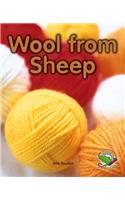 Wool from Sheep (Flying colours)