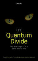 Quantum Divide