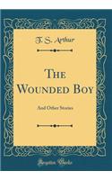 The Wounded Boy: And Other Stories (Classic Reprint)
