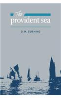 Provident Sea