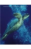 Environmental Science