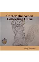 Carter the Acorn Collecting Cutie