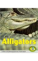 Alligators