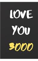 Love You 3000