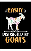 Easily Distracted by Goats