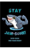 Stay Jaw-some! 2019-2020 Mid Year Diary