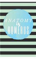 Anatomy is HUMERUS