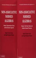 Non-Associative Normed Algebras 2 Volume Hardback Set