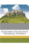 Zeitschrift Fur Celtische Philologie, Volume 4