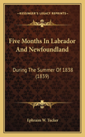 Five Months In Labrador And Newfoundland