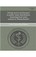 Private Sector Involvement in Public Water Distribution