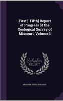 First [-Fifth] Report of Progress of the Geological Survey of Missouri, Volume 1