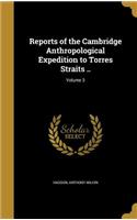 Reports of the Cambridge Anthropological Expedition to Torres Straits ..; Volume 3