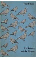 The Parrots and the Pigeons - Descriptions of Two of the Most Enjoyable Birds to Keep as Pets