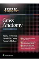 Brs Gross Anatomy