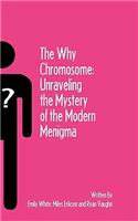 Why Chromosome