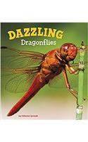 Dazzling Dragonflies