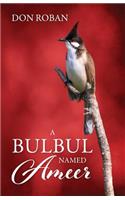 Bulbul Named Ameer