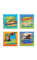 Get to Know Reptiles