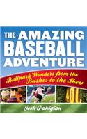 Amazing Baseball Adventure