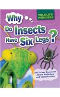 Why Do Insects Have Six Legs?