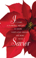 Savior Poinsettia Christmas Bulletin (Pkg of 50)