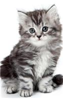 Cutest Kittens January Notebook & Journal. Productivity Work Planner & Idea Notepad: Brainstorm Thoughts, Self Discovery, To Do List