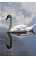 A White Swan on the Water Bird Journal: 150 Page Lined Notebook/Diar