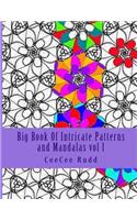 Big Book Of Intricate Patterns and Mandalas vol 1