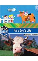 It's a Cow's Life