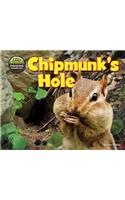 Chipmunk's Hole