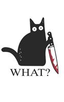 Cat What Funny Black Cat Murderous Cat With Knife A beautiful