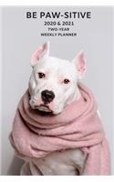 2020 & 2021 Two Year Weekly Planner For Staffordshire Bull Terrier - Cute Pit bull Dog Pun Appointment Book Gift - Two-Year Agenda Notebook