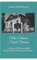 Miss Elmira's Secret Treasure