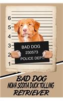 Bad Dog Nova Scotia Duck Tolling Retriever