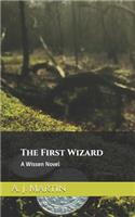 First Wizard: A Wissen Novel