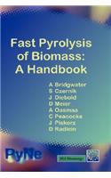 Fast Pyrolysis of Biomass