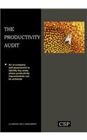 Productivity Audit