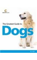 Your Dog & Puppy: Expert Advice for Your Faithful Friend