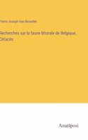 Recherches sur la faune littorale de Belgique; Cétacés