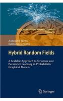 Hybrid Random Fields