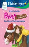 Paula auf dem Ponyhof. Das kleine Weihnachtspony