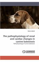 The pathophysiology of renal and cardiac changes in canine babesiosis