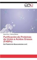 Purificación de Proteínas de Unión a Ácidos Grasos (FABPs)