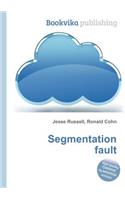 Segmentation Fault