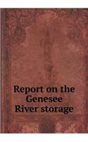 Report on the Genesee River storage: (English)