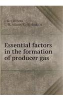 Essential Factors in the Formation of Producer Gas