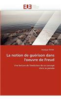 La Notion de Gu�rison Dans l'Oeuvre de Freud