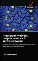 Przestrze&#324; wolno&#347;ci, bezpiecze&#324;stwa i sprawiedliwo&#347;ci