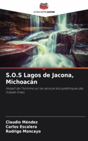 S.O.S Lagos de Jacona, Michoacán